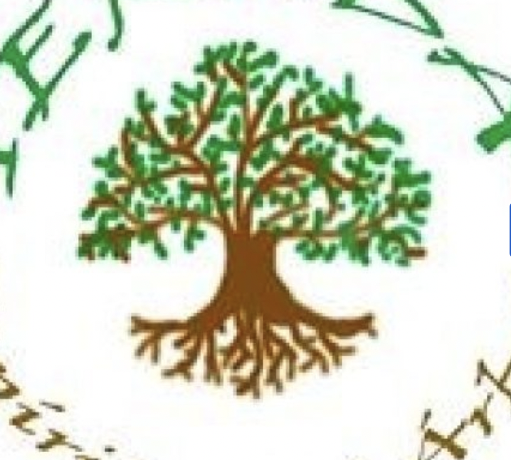 Captura de pantalla 2024 08 21 a las 12.01.07 p. m